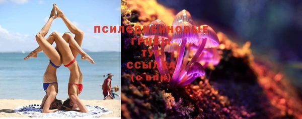ешки Заводоуковск
