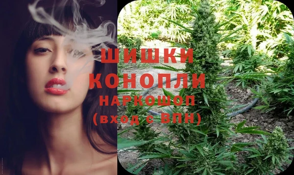 ешки Заводоуковск