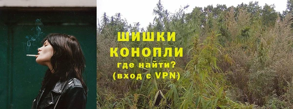 ешки Заводоуковск