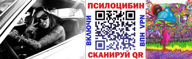 Купить где  Карабаш  Псилоцибиновые грибы Psilocybine cubensis 